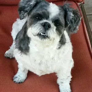 Meet your Posher, Dorothy